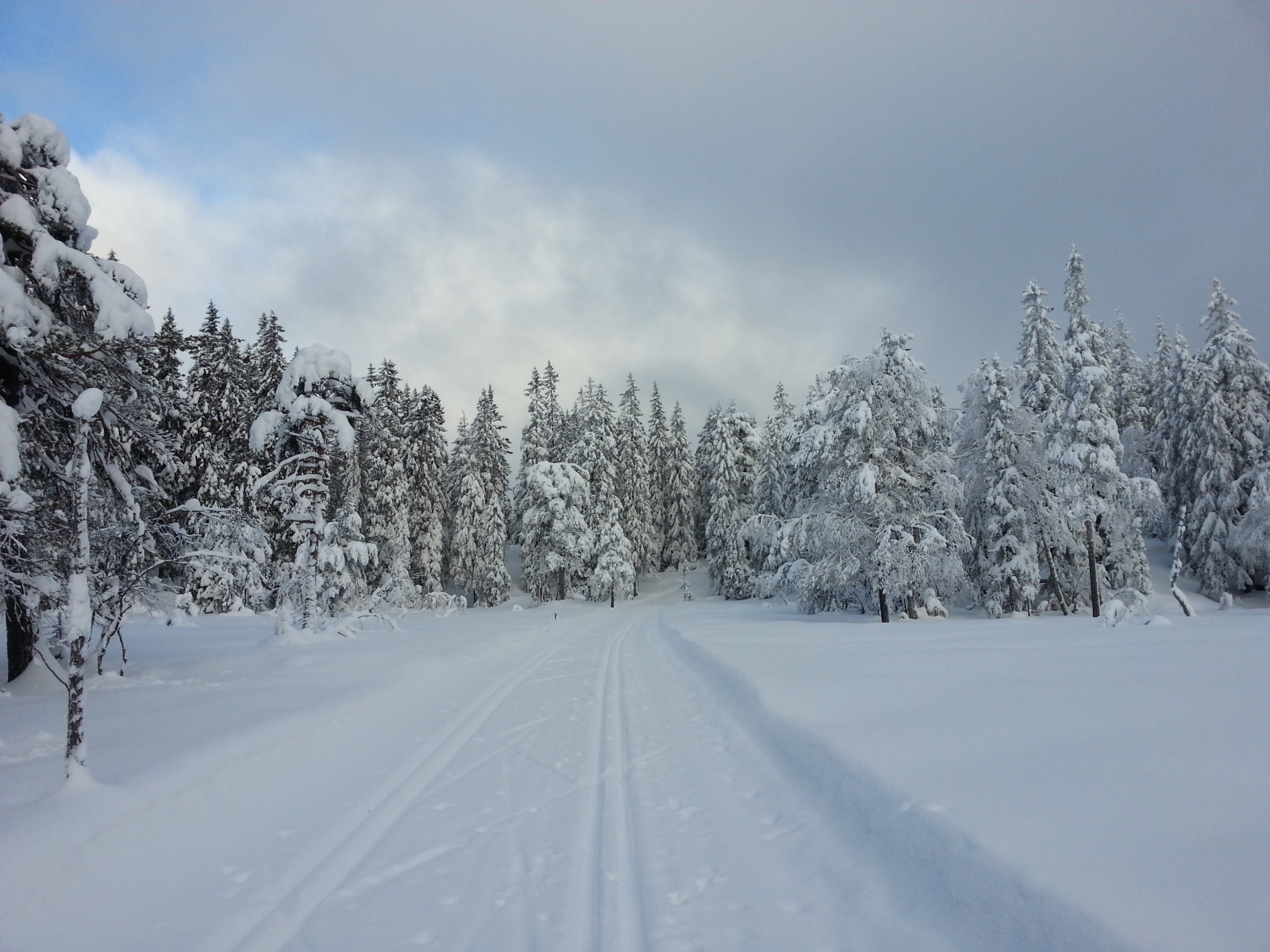 Glåmene i Nordmarka